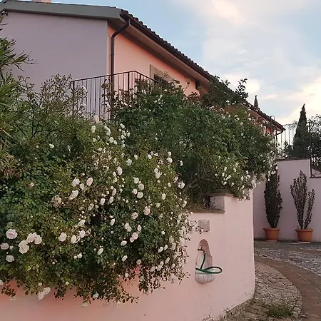 Sassovivo Villa Foligno